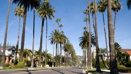 Encuentra vuelos baratos desde El Salvador $[,, preposition:'to ']$[,, article:'to ']$[,, place:'to']