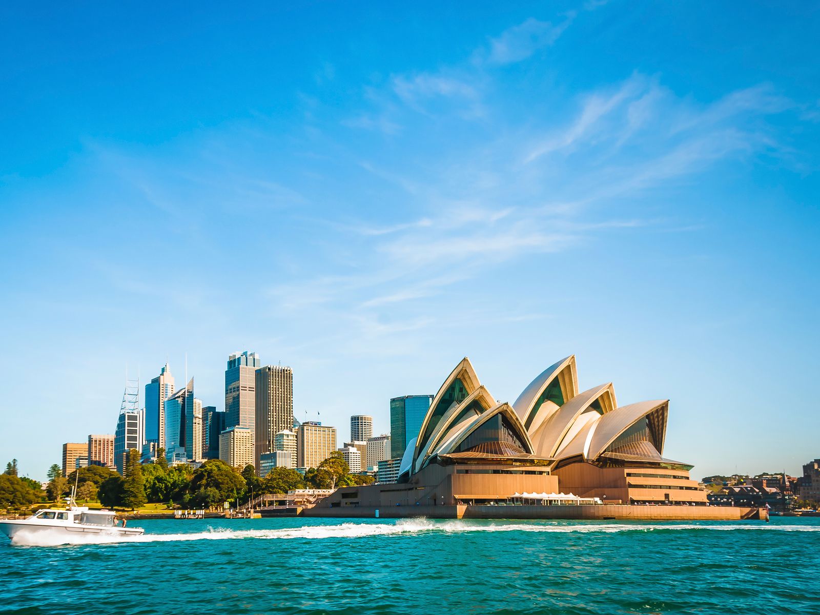 Salvador Vuelos A Houston Ida Y Vuelta Vuelos Baratos San Salvador