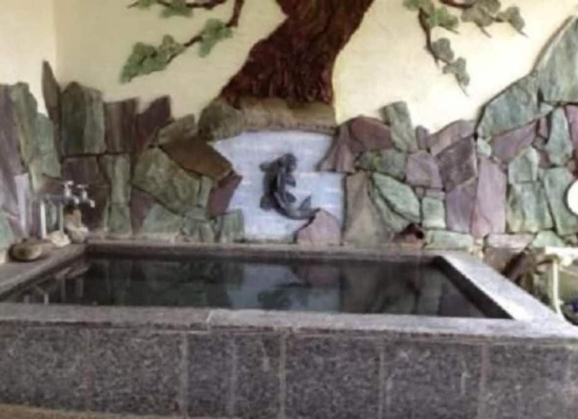 Baño Foto
