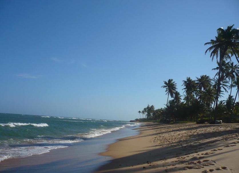 Playa Foto
