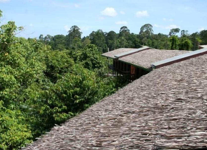Vista del exterior Foto
