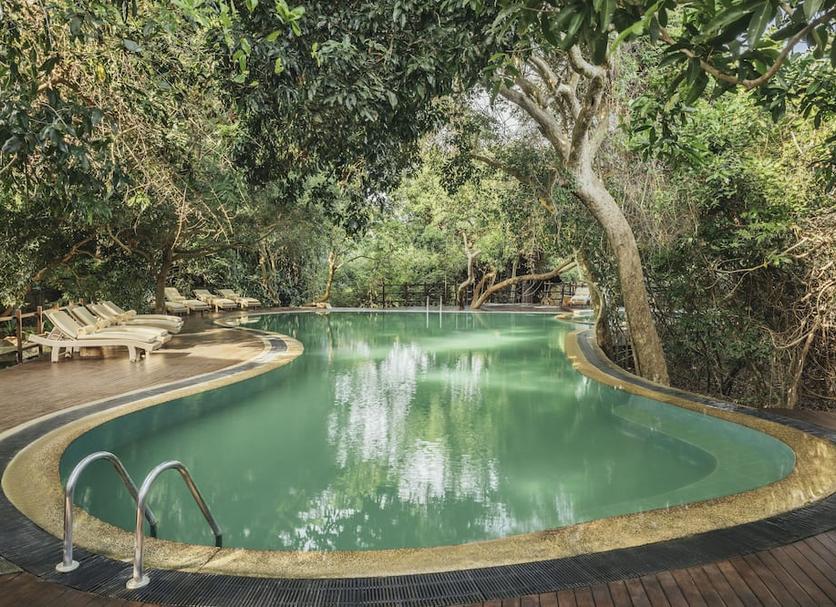 Piscina Foto