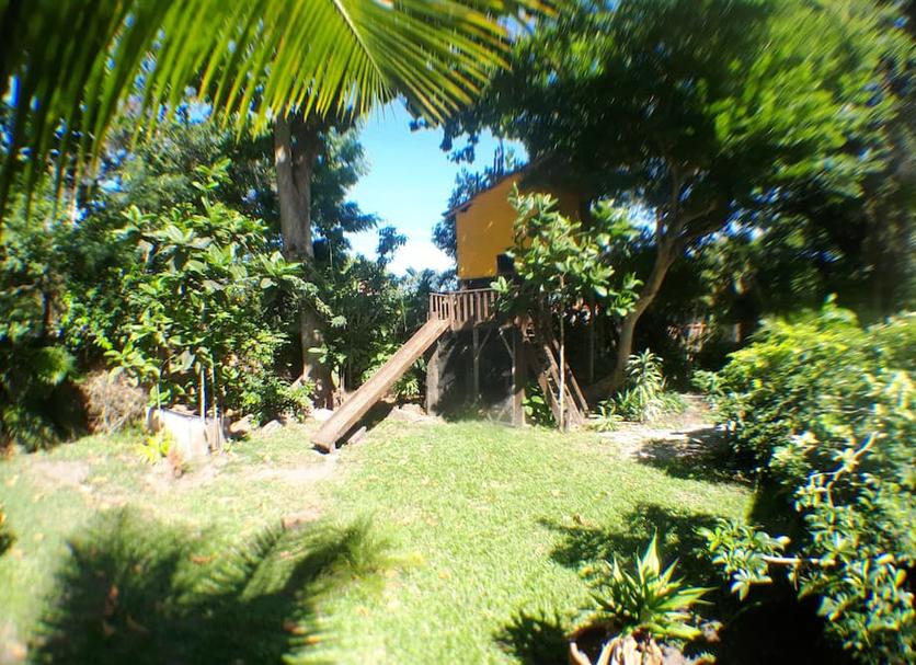 Otros Foto