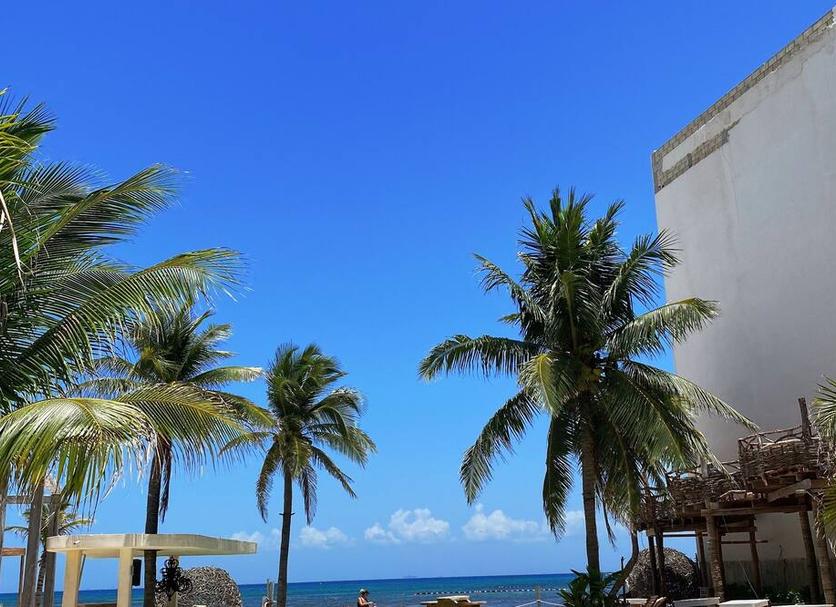 Vista del exterior Foto
