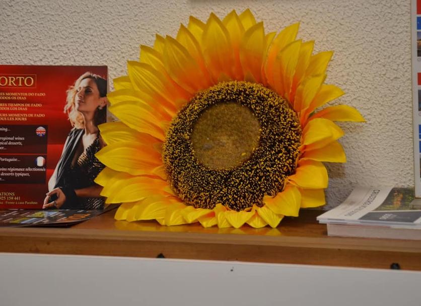 Otros Foto
