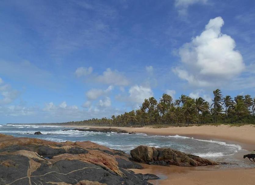 Playa Foto
