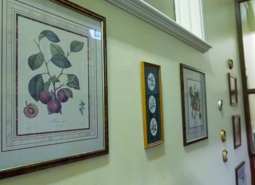 Servicio de la habitación Foto