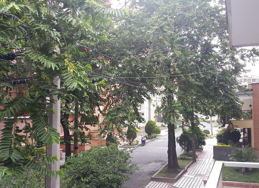 Vista del exterior Foto