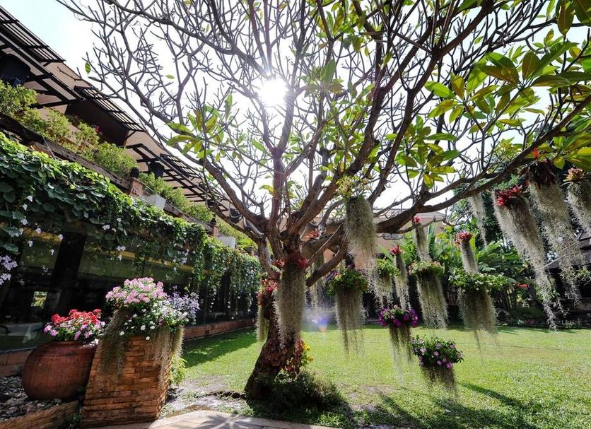 Vista del exterior Foto