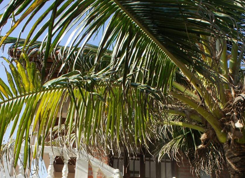 Vista del exterior Foto