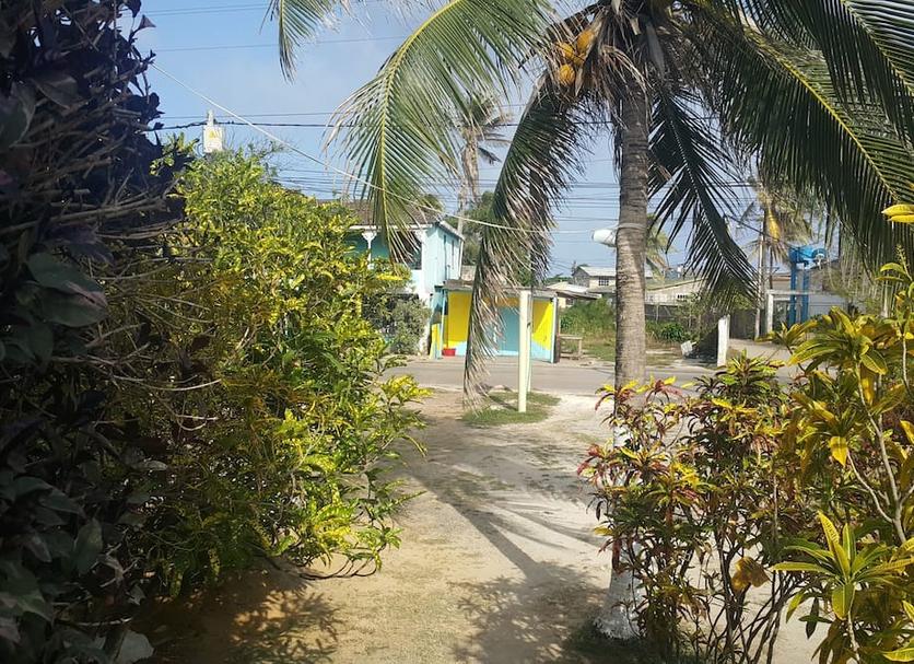 Vista del exterior Foto