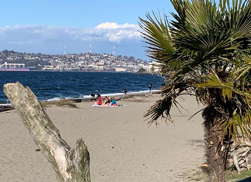 Playa Foto