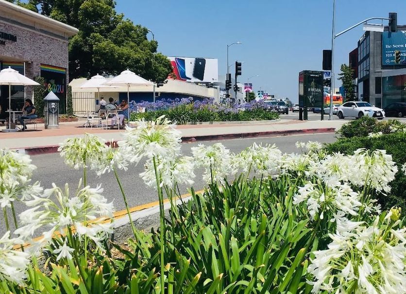 Vista del exterior Foto