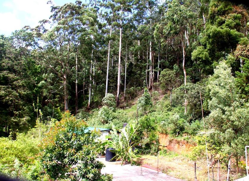 Vista del exterior Foto