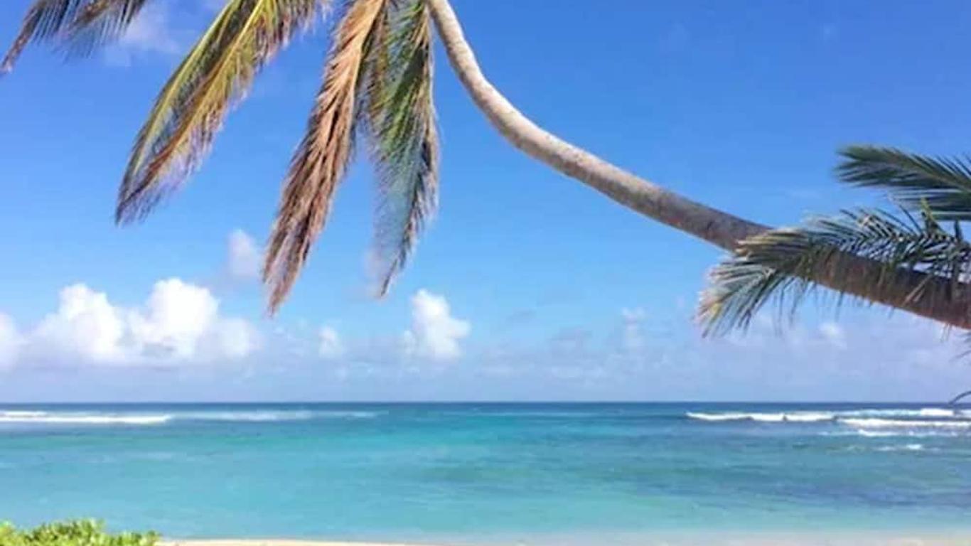 The Palms At Pelican Cove