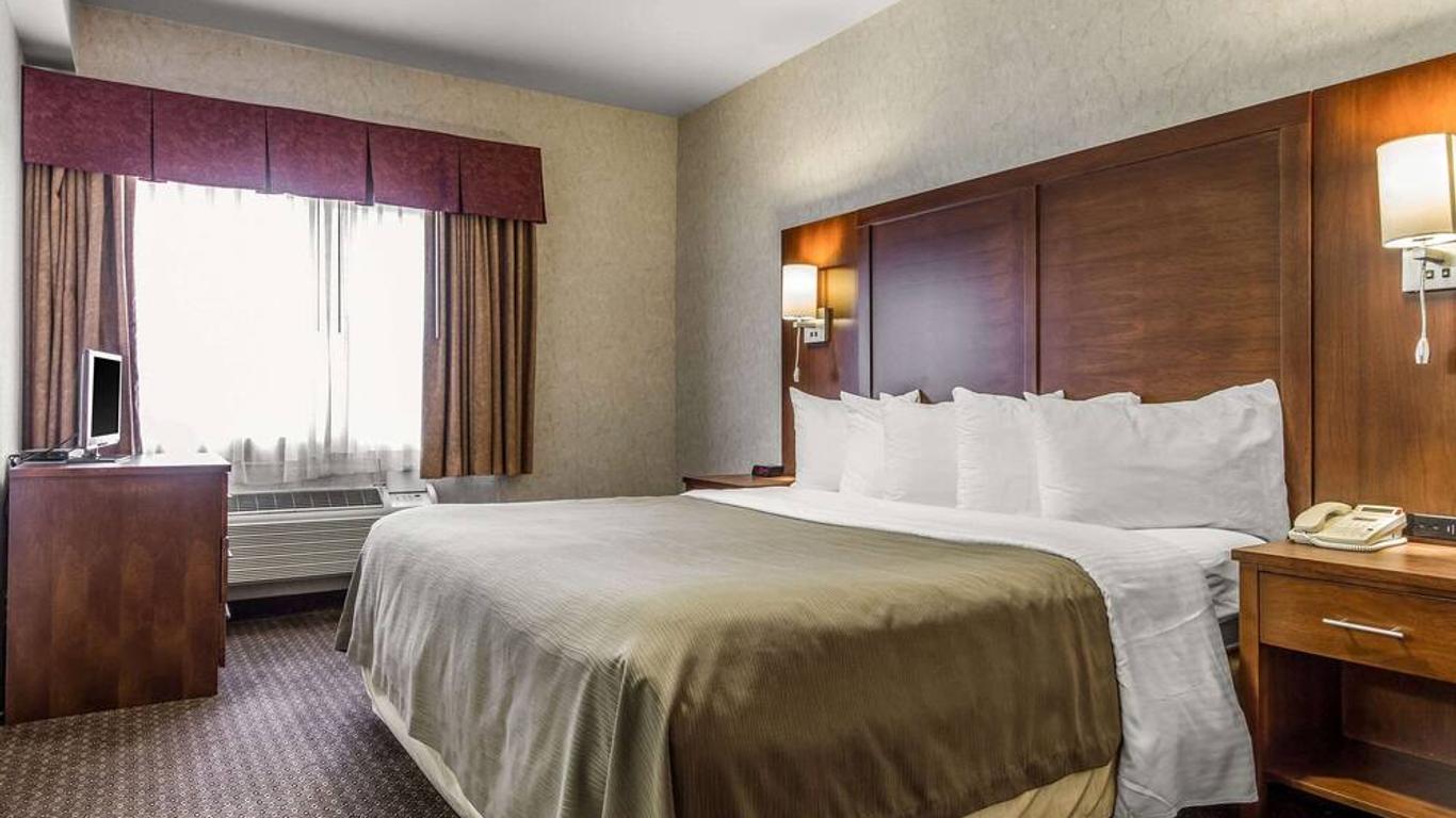 Quality Inn San Jose