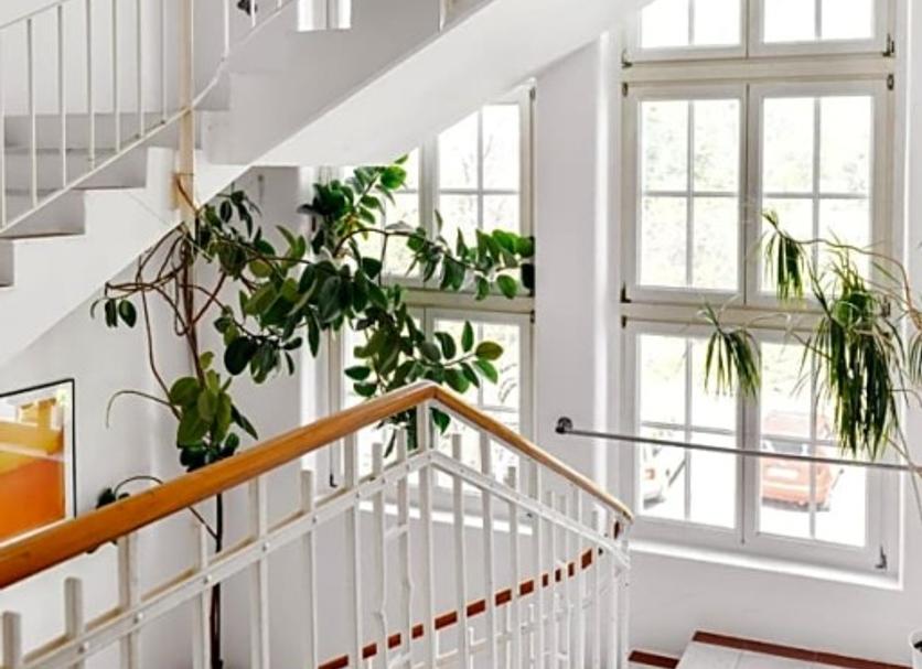Escaleras Foto