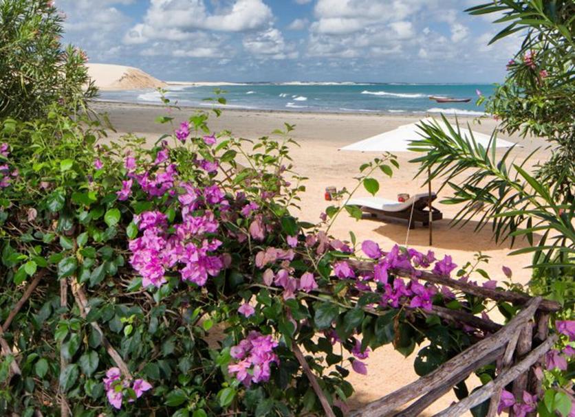 Playa Foto
