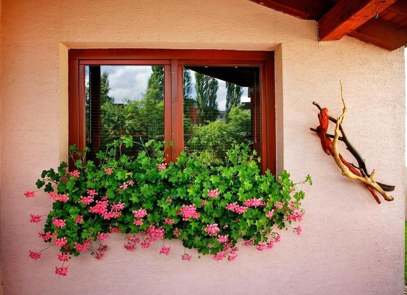 Vista del exterior Foto