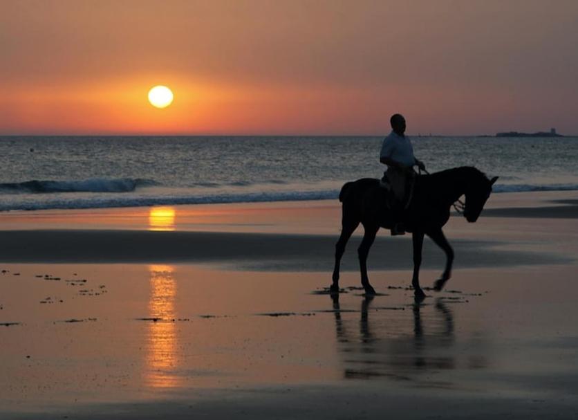 Playa Foto