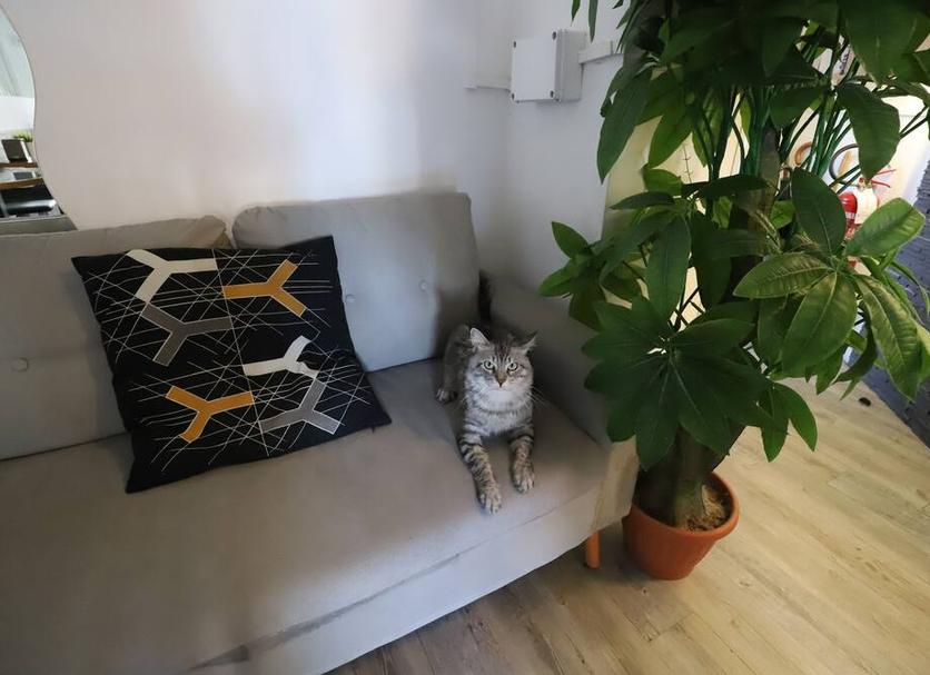 Servicio de la habitación Foto
