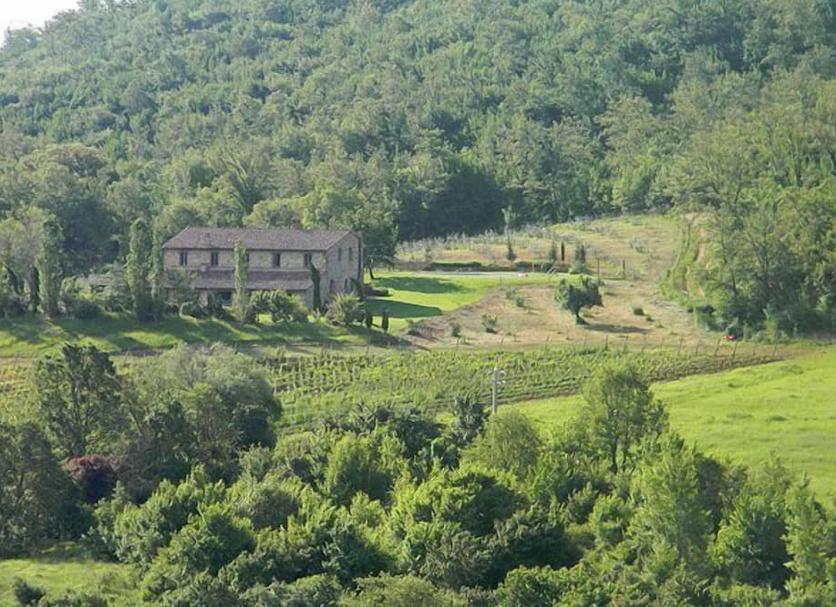 Vista del exterior Foto