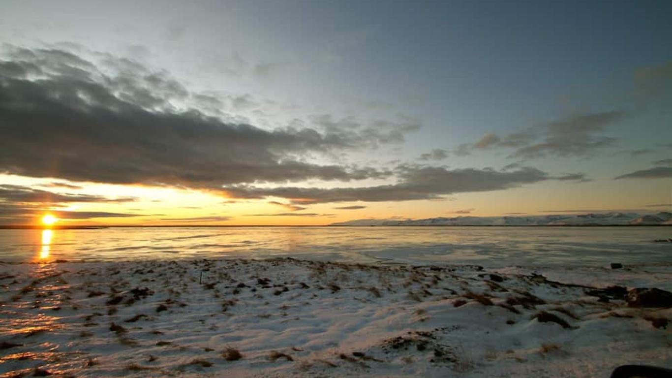 Höfn Inn Guesthouse