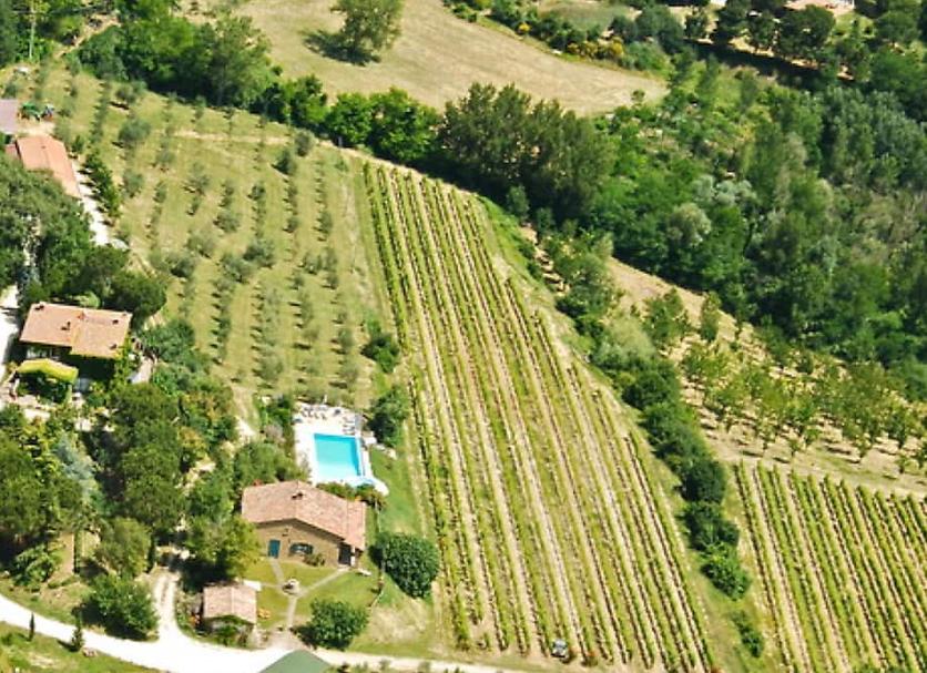 Vista del exterior Foto