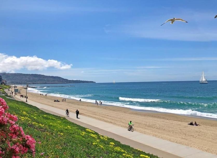 Playa Foto
